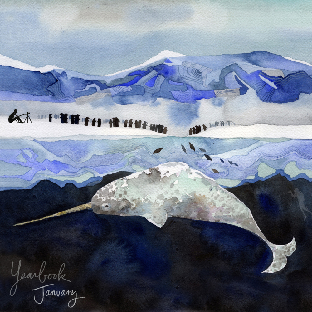 Album cover art for "January White" by Sleeping At Last