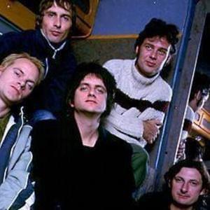 The Candyskins Profile Picture Photo of The Candyskins
