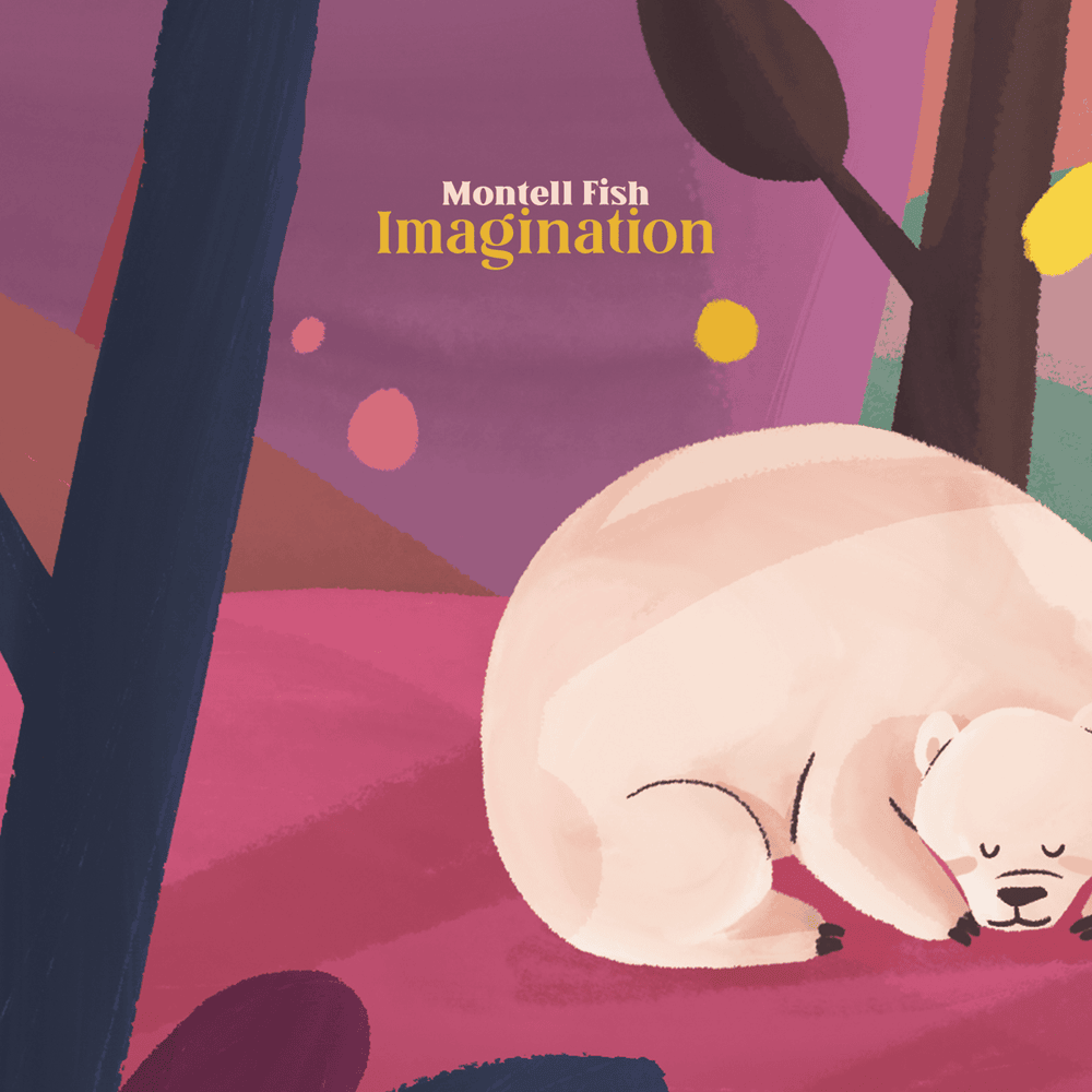 Album cover art for "Imagination" by Montell Fish