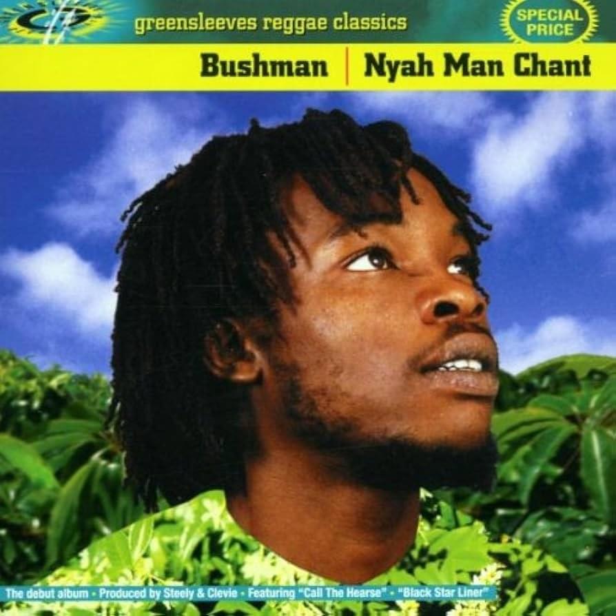 Man A Lion by Bushman