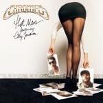 Album cover art for "Hot Mess (Duck Sauce Remix)" by Chromeo