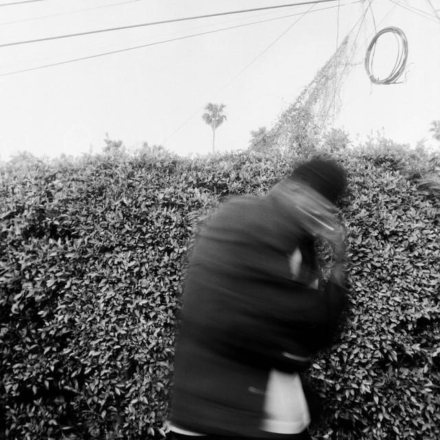 Cover image for Scarecrows