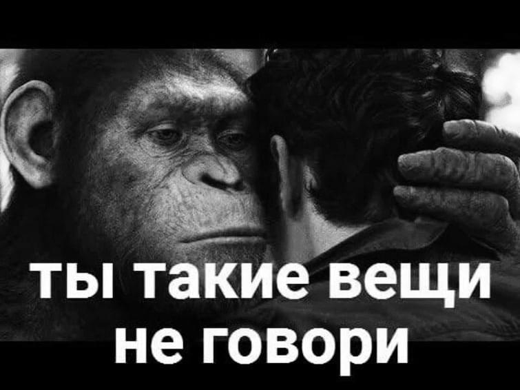 Album cover art for "На третий день (On the third day) [Cut]" by ЧТО СПРОСИЛ ГОЛДСТЕЙН? (WHAT DID GOLDSTEIN ASK?)