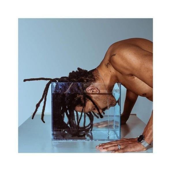 Album cover art for "Intro (Teoria do Ciclo da Água)" by Froid