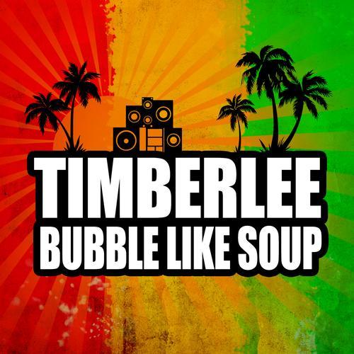 Album cover art for "Bubble Like Soup" by Timberlee & Ward 21