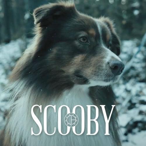 Scooby by Oliver Olson