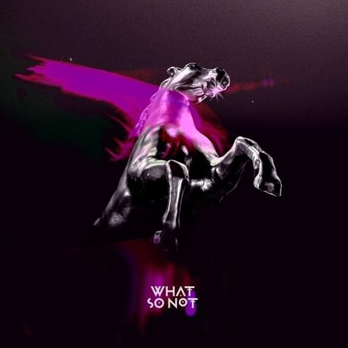 Album cover art for "We Keep on Running" by What So Not