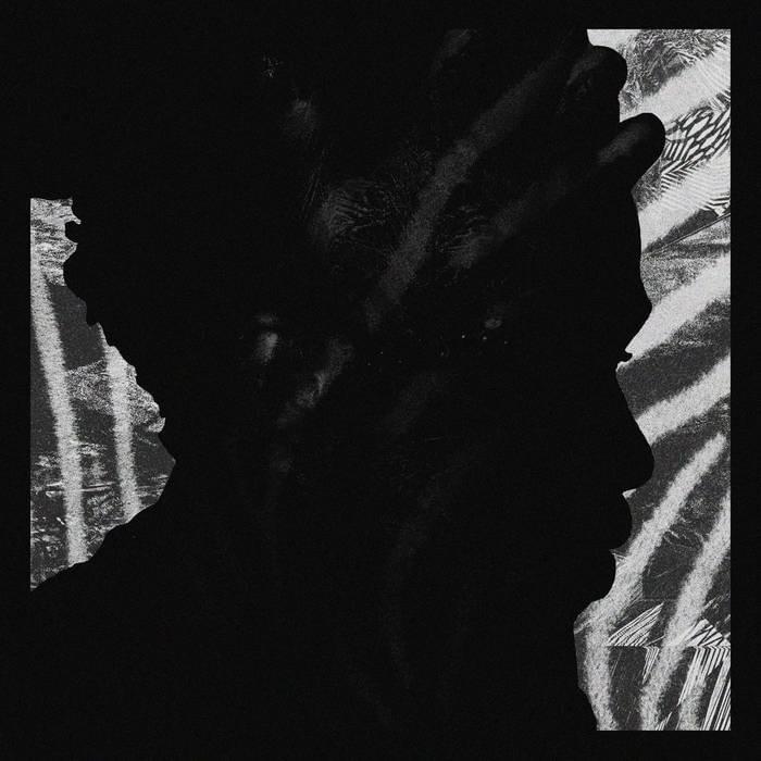 Cover image for Ree Louis