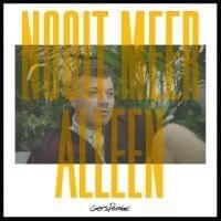 Album cover art for "Nooit Meer Alleen" by Gers Pardoel