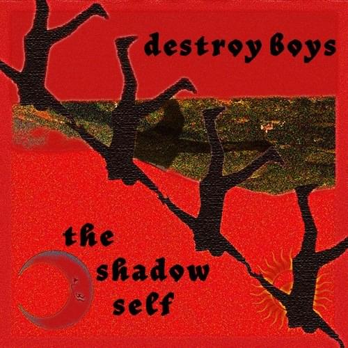 Cover image for The Shadow Self