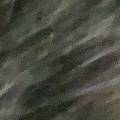 CA$E 19 by Jasiah