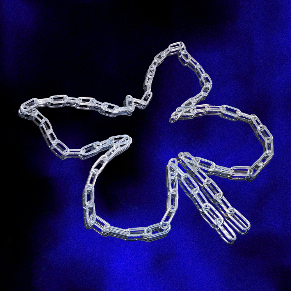 Cover image for A Butterfly In-between Time
