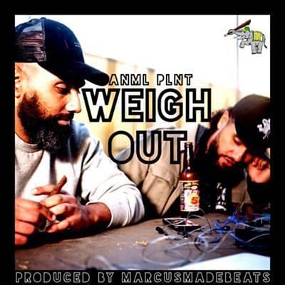 Weigh Out by Anml Plnt