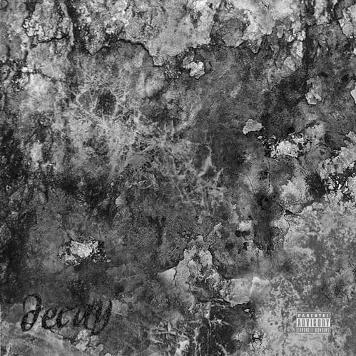 Album cover art for "Decay" by Craig Xen