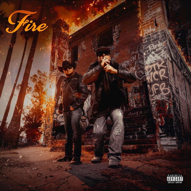 Cover image for Fire