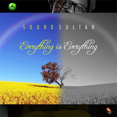 Everything Is Everything by Sound Sultan