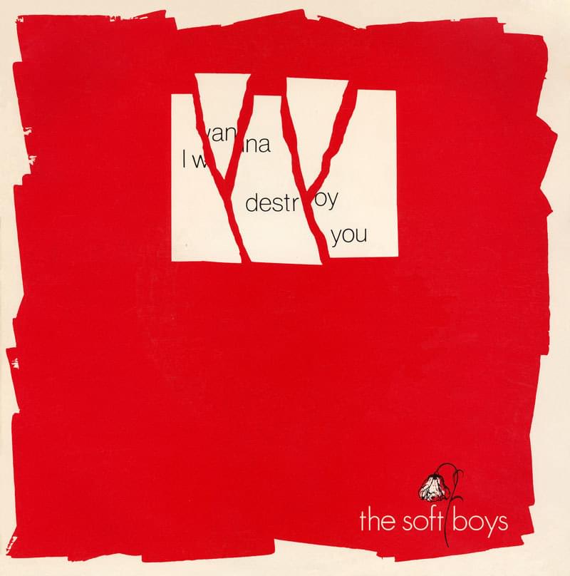 I Wanna Destroy You by The Soft Boys
