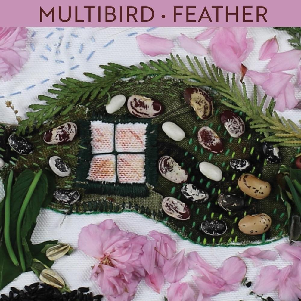 Album cover art for "Feather" by Multibird