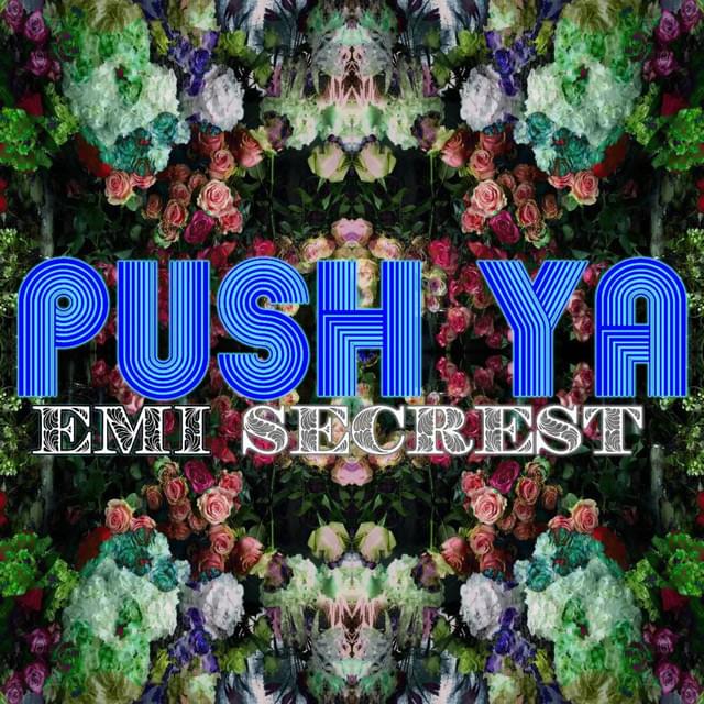 Push Ya by Emi Secrest