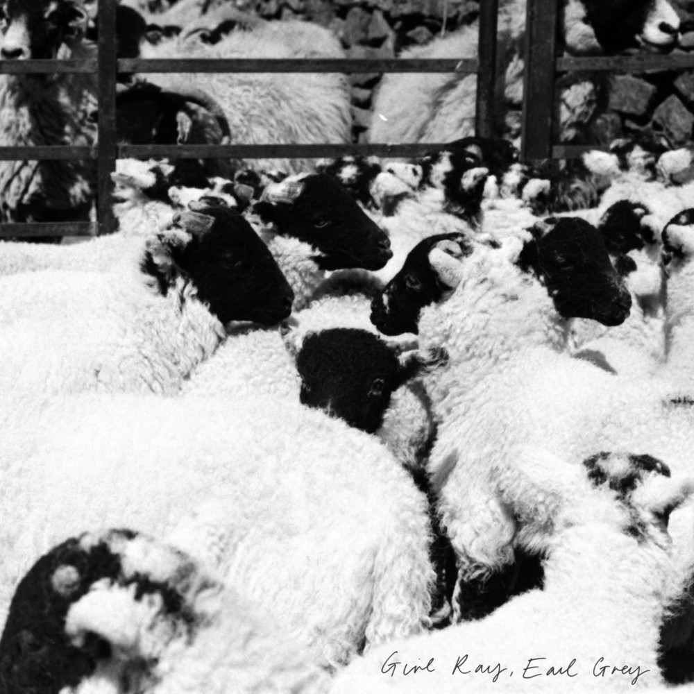 Cover image for Earl Grey