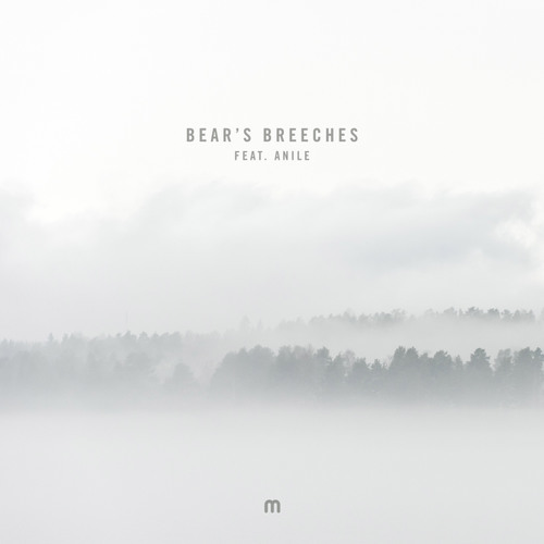 Album cover art for "Bear’s Breeches" by Etherwood & Anile