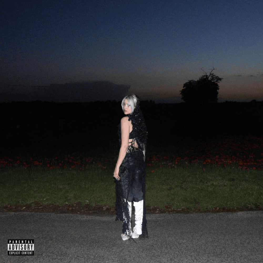 Album cover art for "Coquelicot" by Lolo Zouaï & disiz