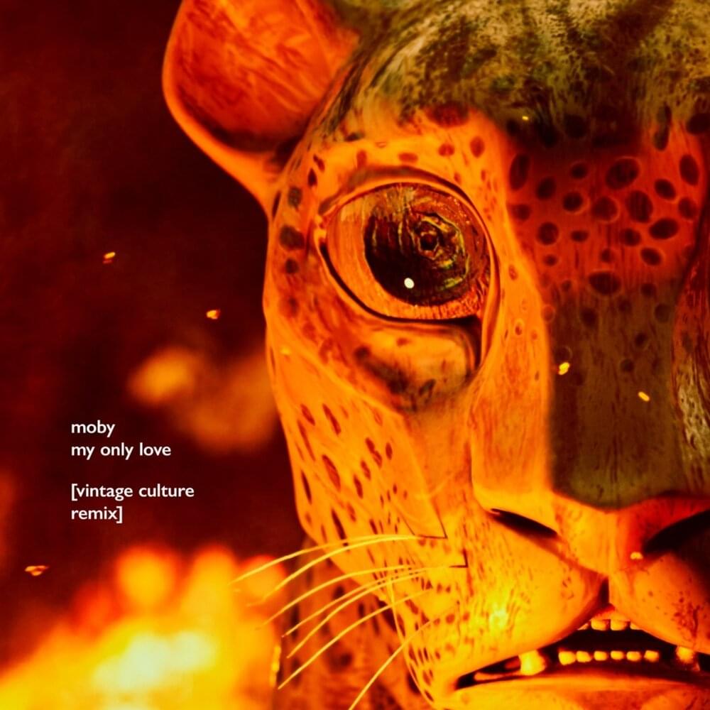 Album cover art for "My Only Love (Vintage Culture Remix)" by Moby & Mindy Jones
