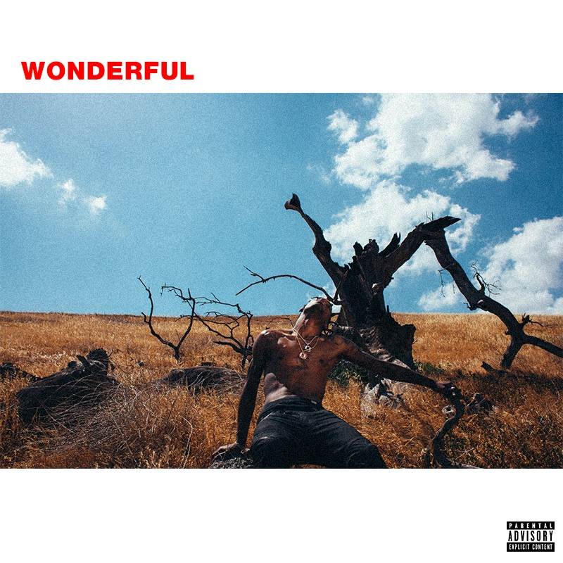 Album cover art for "wonderful" by Travis Scott & The Weeknd