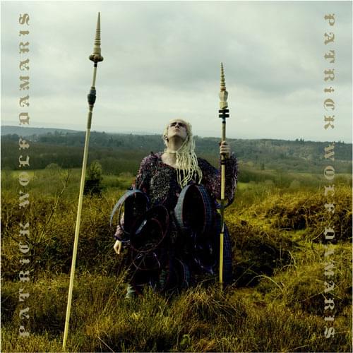 Album cover art for "Damaris" by Patrick Wolf