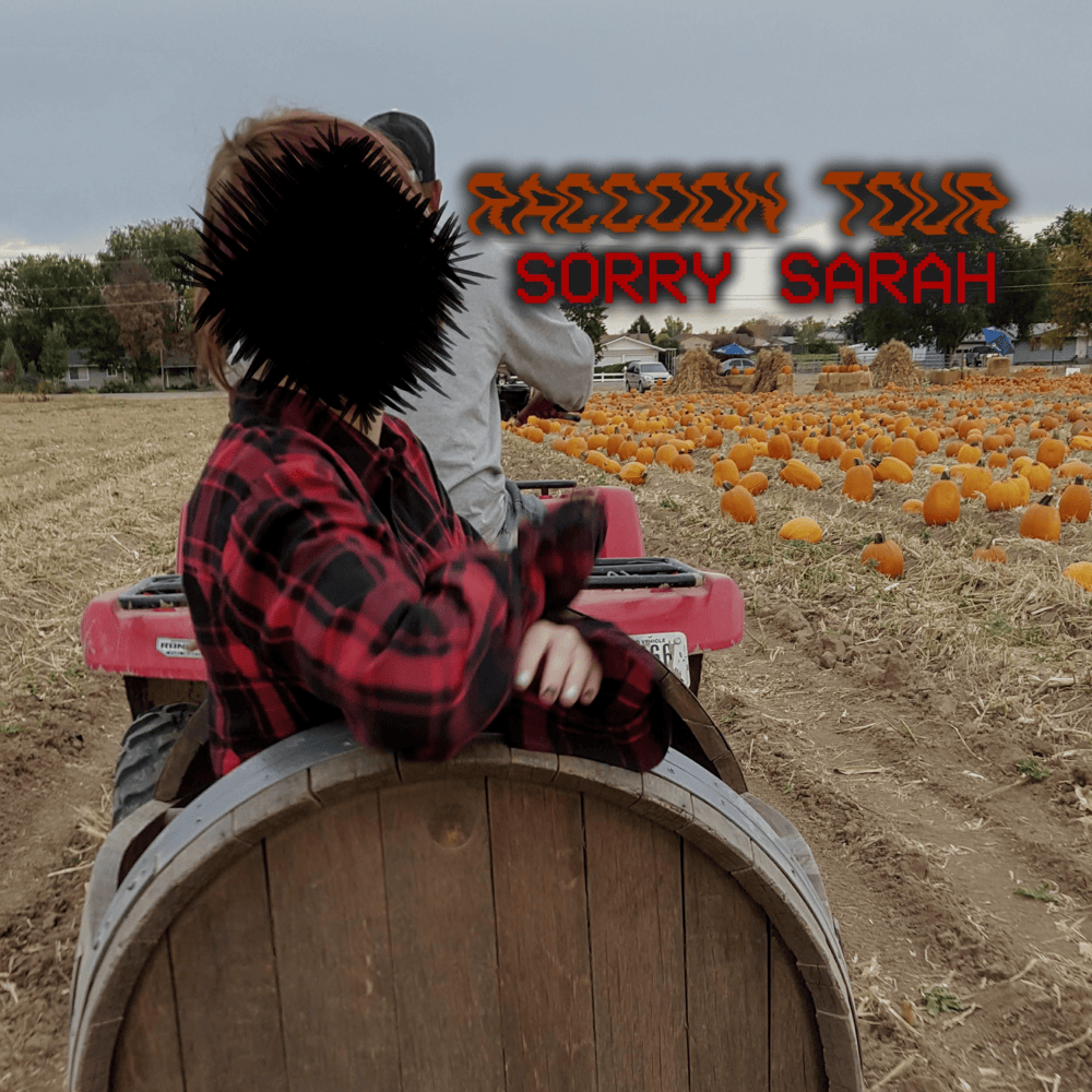 Sorry Sarah by Raccoon Tour