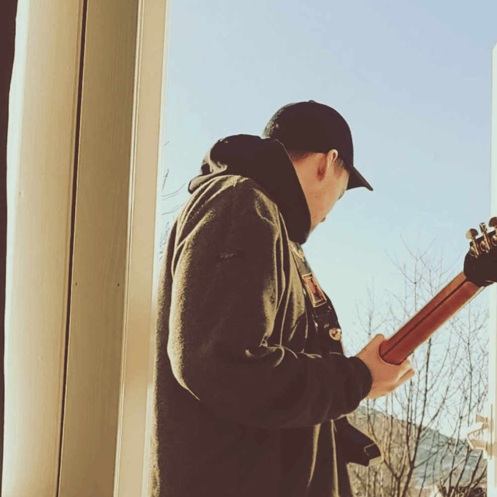 Cover image for fnonose