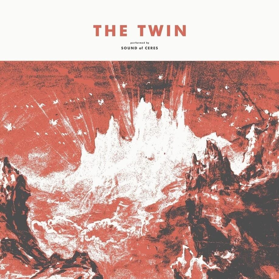 Cover image for The Twin