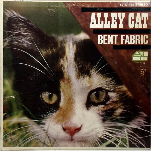 Cover image for Alley Cat