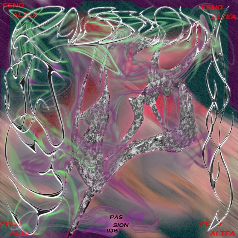 Cover image for Passion Boi