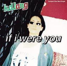 Album cover art for "If I Were You" by k.d. lang