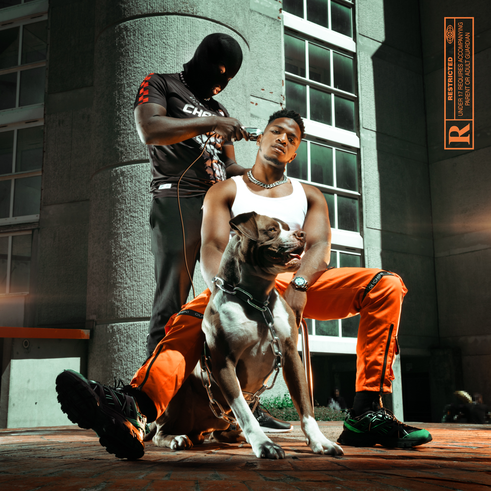 Album cover art for "Siliconé" by Skyrock