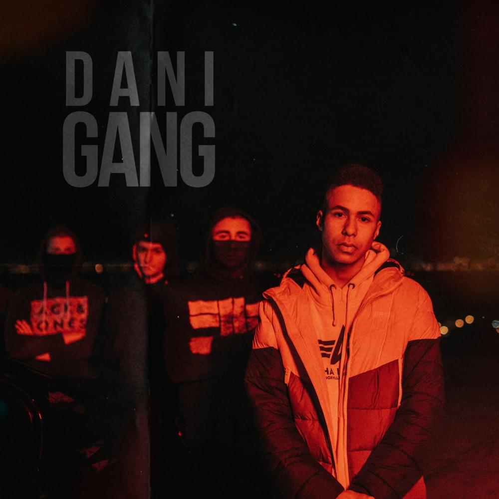 Album cover art for "Gang" by Dani