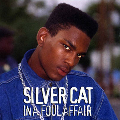 Album cover art for "Fowl Affair" by Silver Cat
