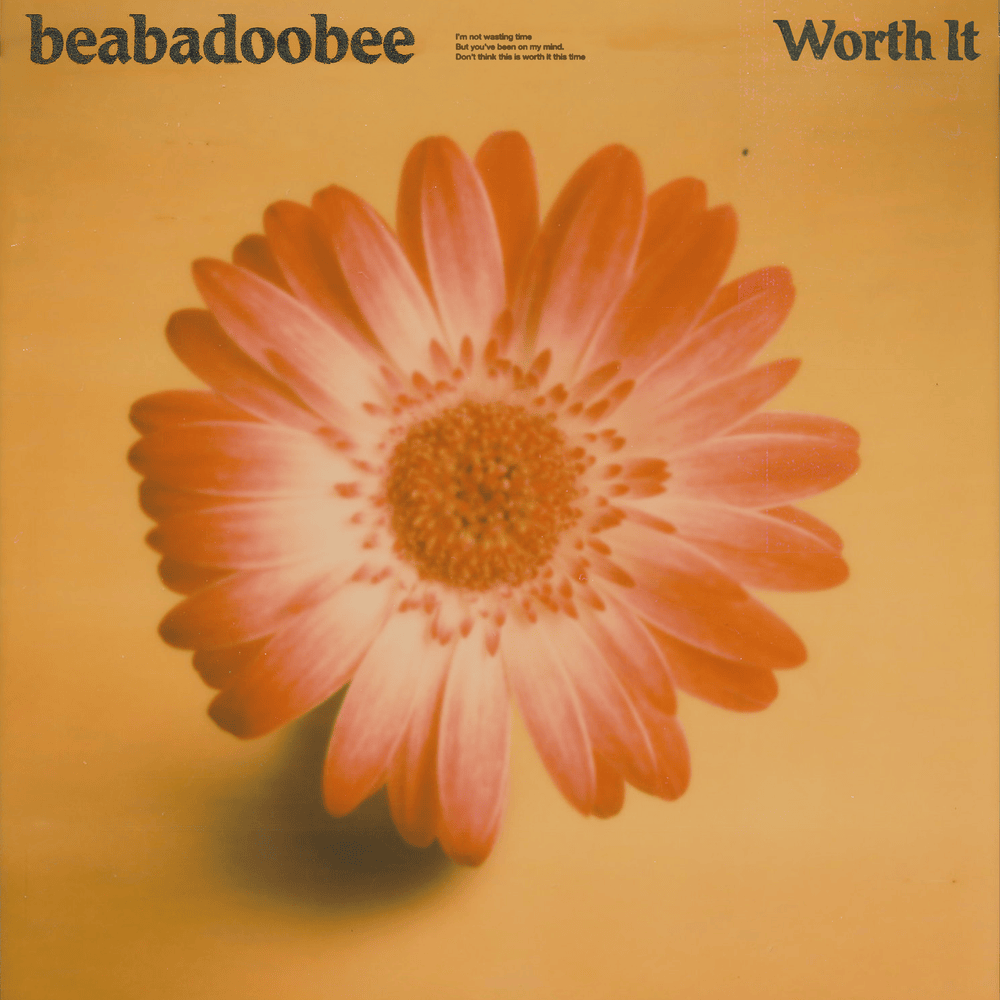 Album cover art for "Worth It" by beabadoobee