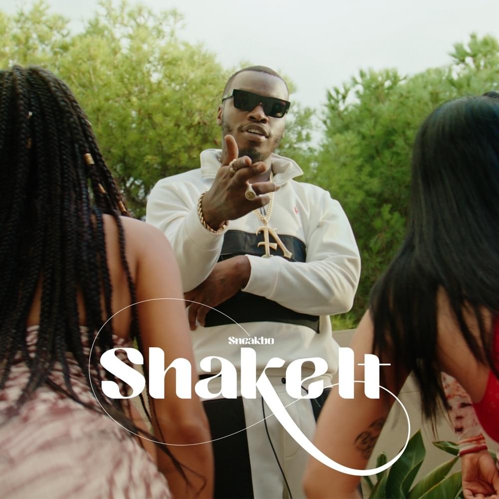 Album cover art for "Shake It" by Sneakbo