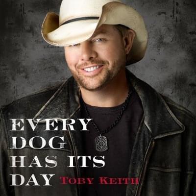 Album cover art for "Every Dog Has Its Day" by Toby Keith