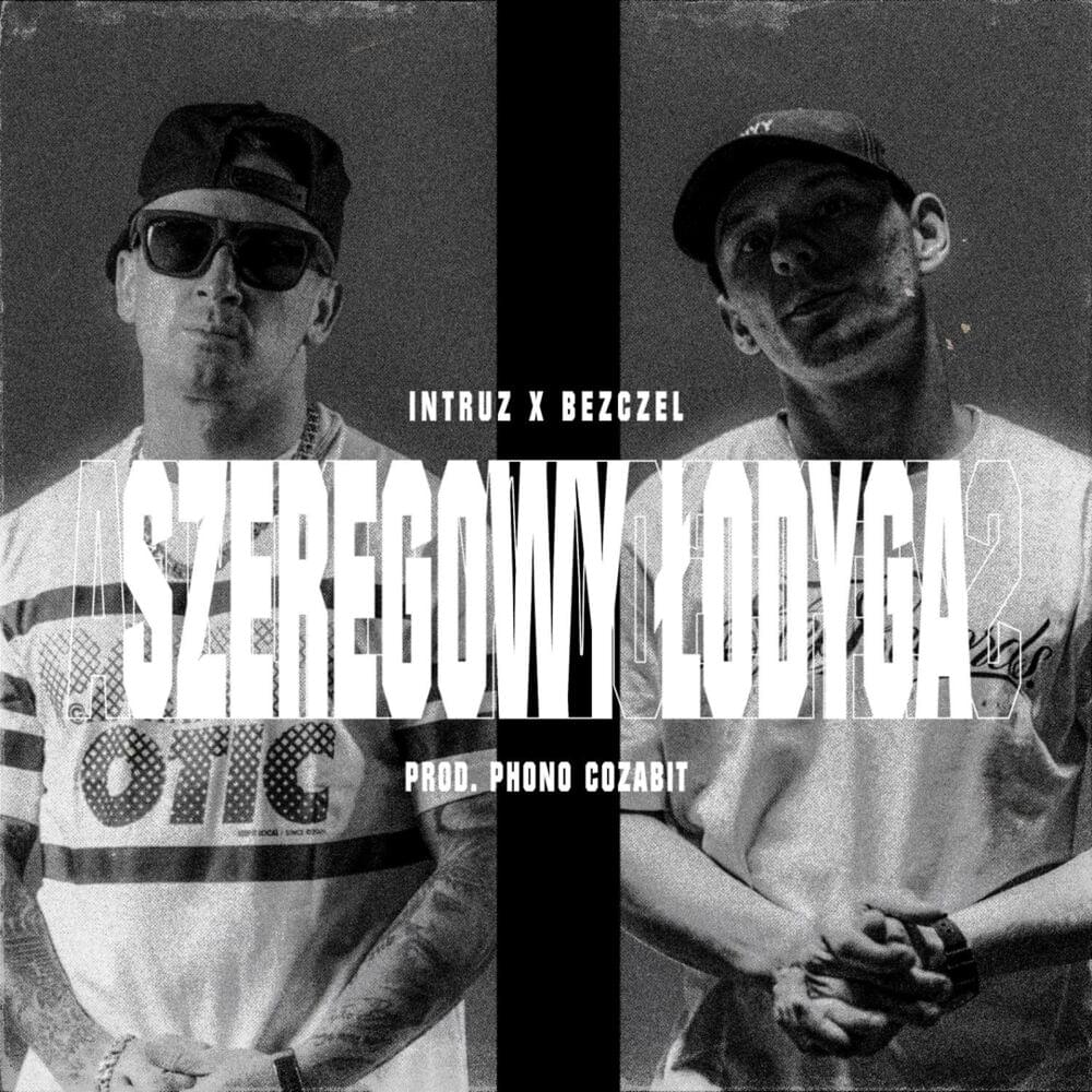 Album cover art for "Szeregowy Łodyga" by Intruz