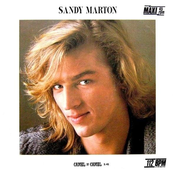 Camel By Camel by Sandy Marton