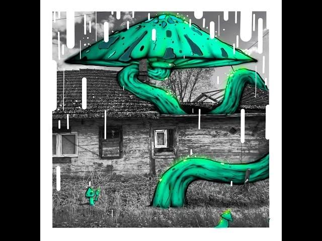 Album cover art for "Gra" by Junes