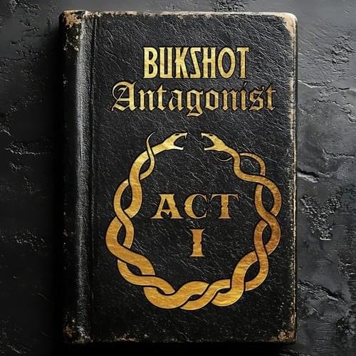 Album cover art for "Chess" by Bukshot