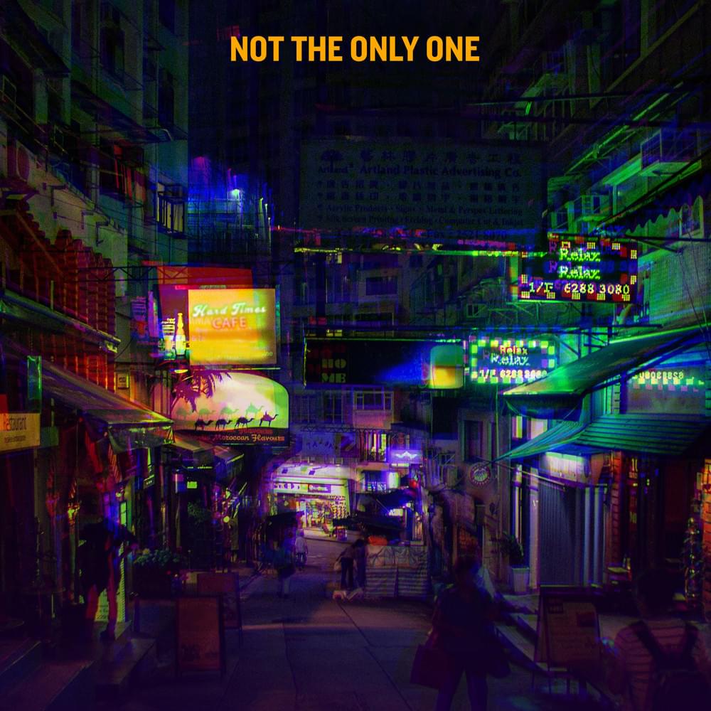 Album cover art for "Not the Only One" by Papa Roach