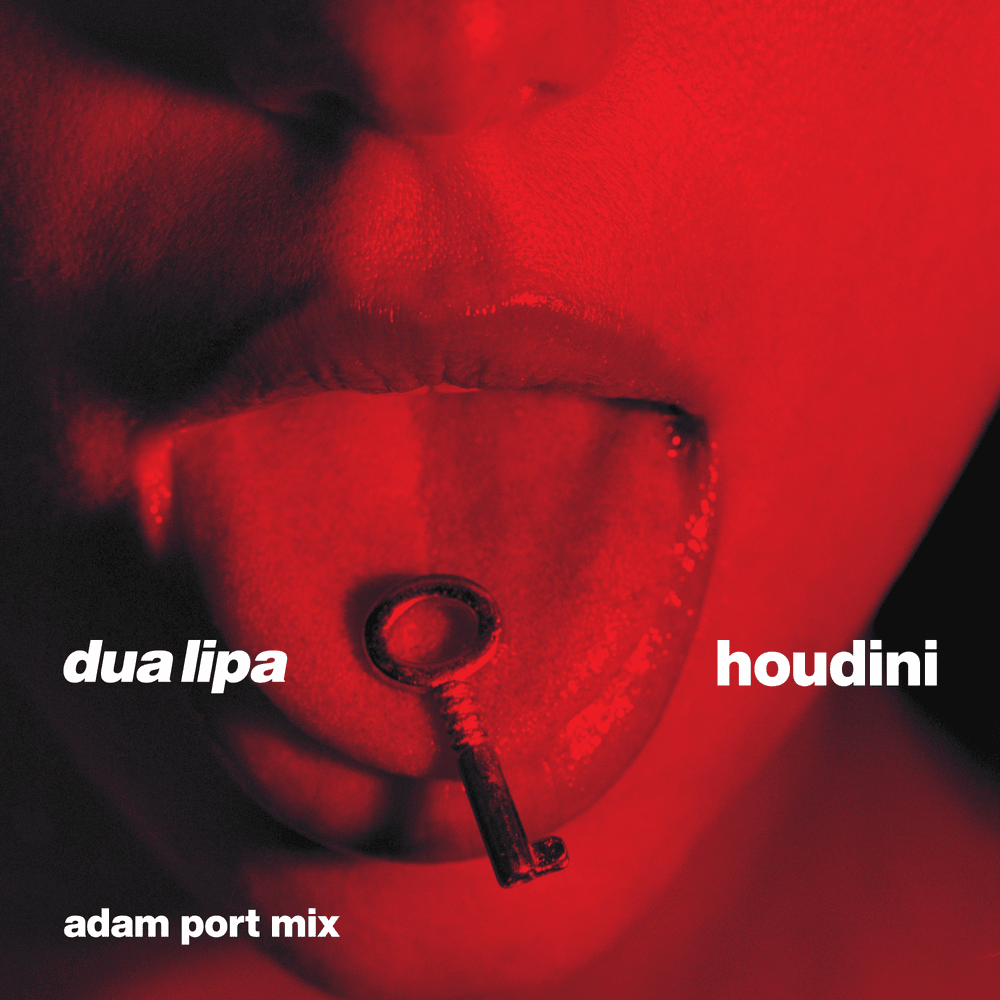 Album cover art for "Houdini (Adam Port Mix)" by Dua Lipa