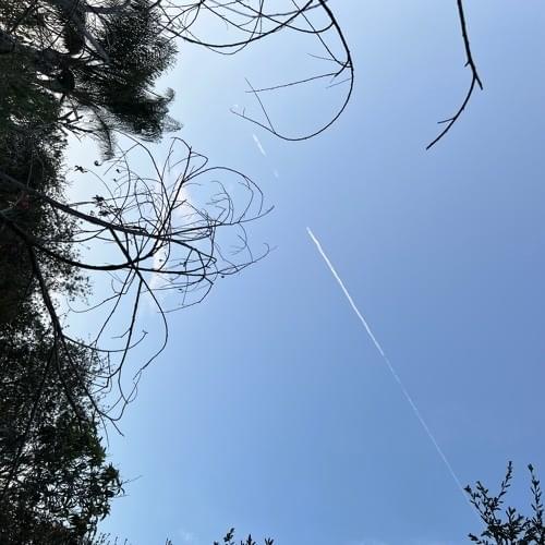 Cover image for Soundcloud songs