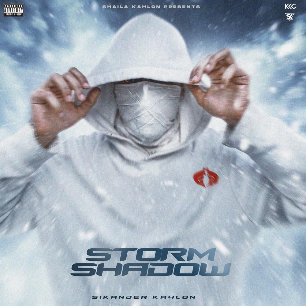Cover image for Storm Shadow