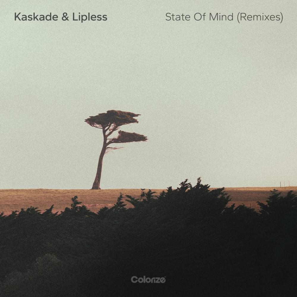 Cover image for State Of Mind (Remixes)